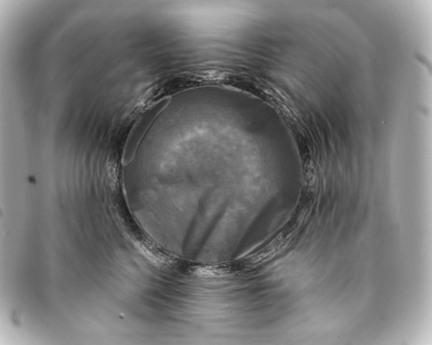 X0000095530568200712281524