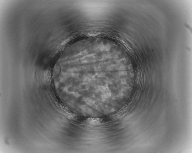 X0000095530569200712281524