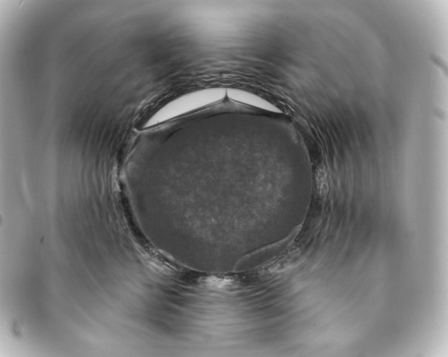 X0000095530570200712281524