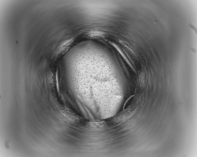 X0000095530571200712281524