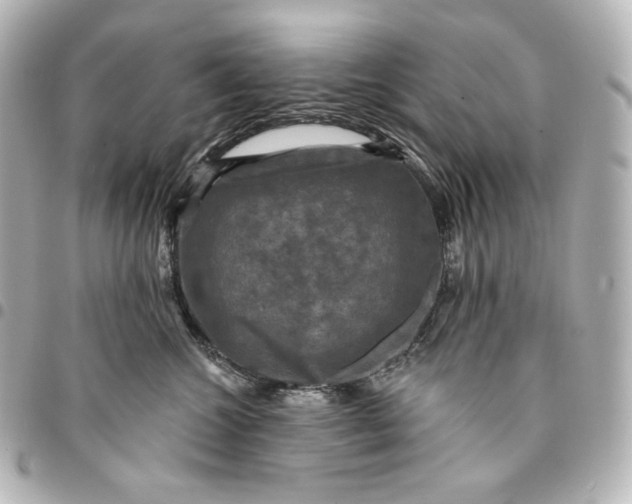 X0000095530572200712281524