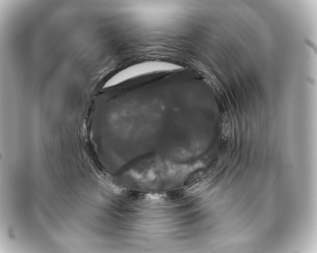 X0000095530573200712281524
