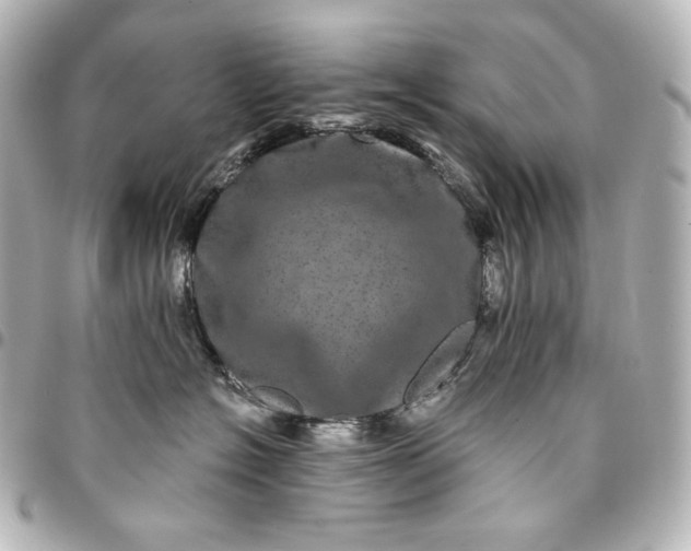 X0000095530574200712281524