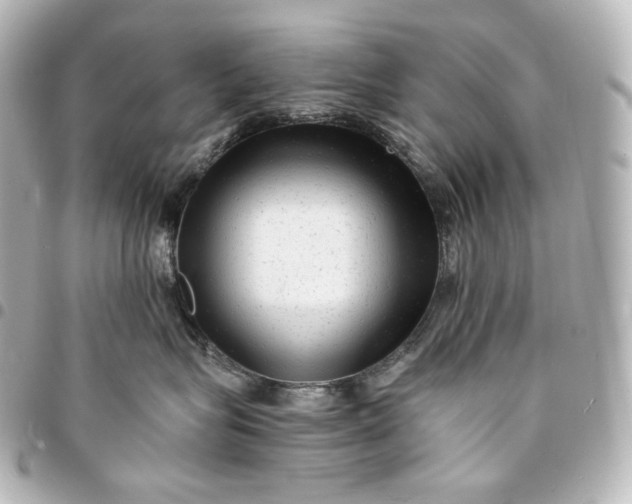 X0000095530575200712281524