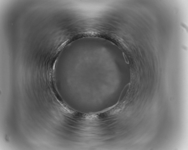 X0000095530576200712281524