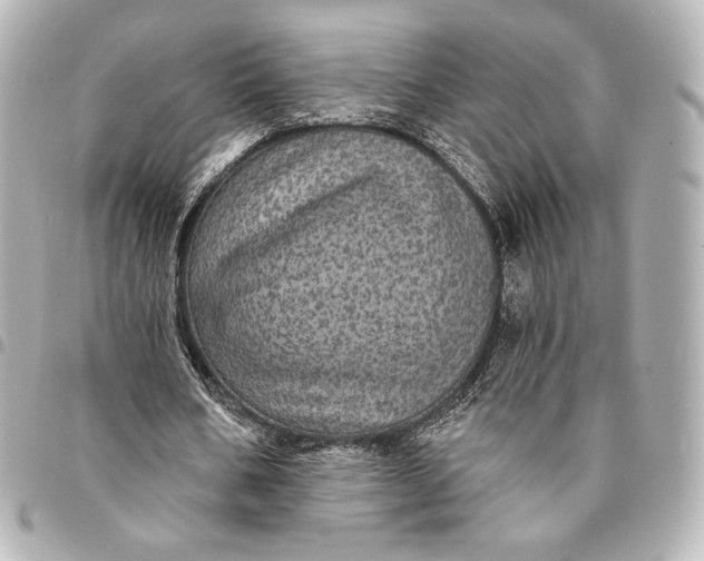 X0000095530578200712281524