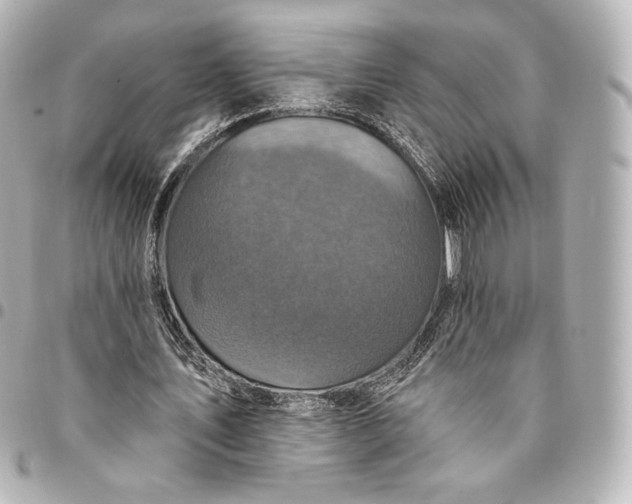 X0000095530579200712281524