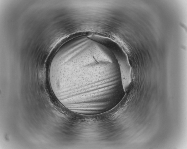 X0000095530580200712281524