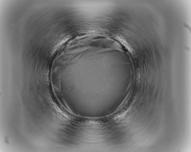 X0000095530585200712281524