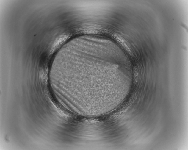 X0000095530586200712281524