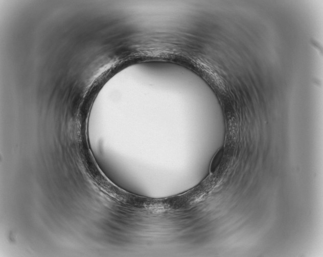 X0000095530587200712281524