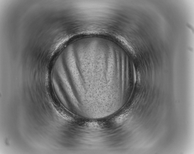 X0000095530588200712281524