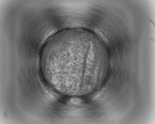 X0000095530591200712281524