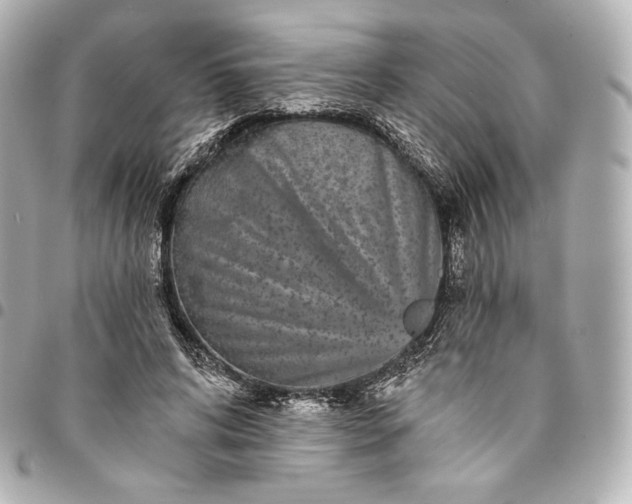 X0000095530592200712281524