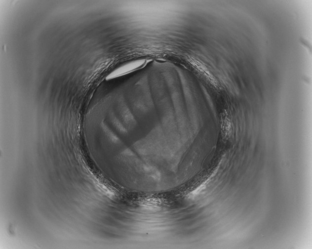 X0000095530593200712281524