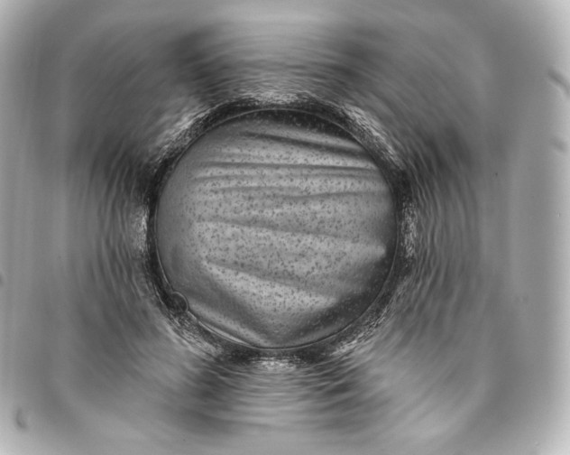X0000095530596200712281523