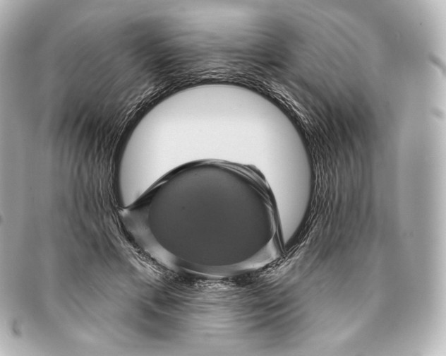 X0000095530597200712281523