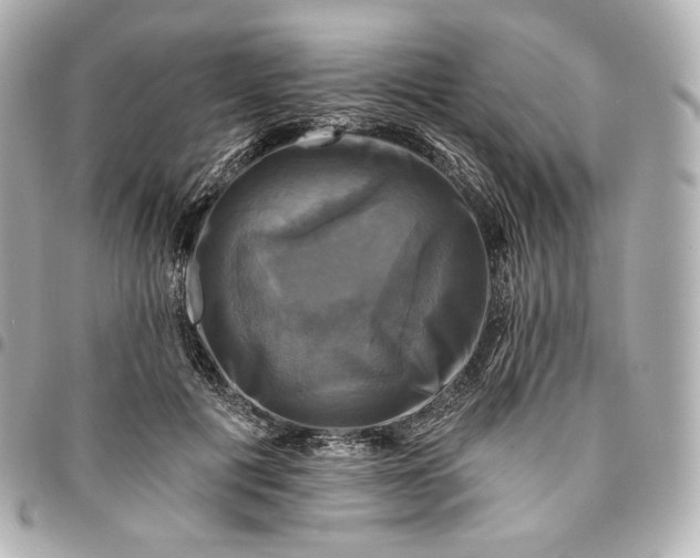 X0000095530601200712281523