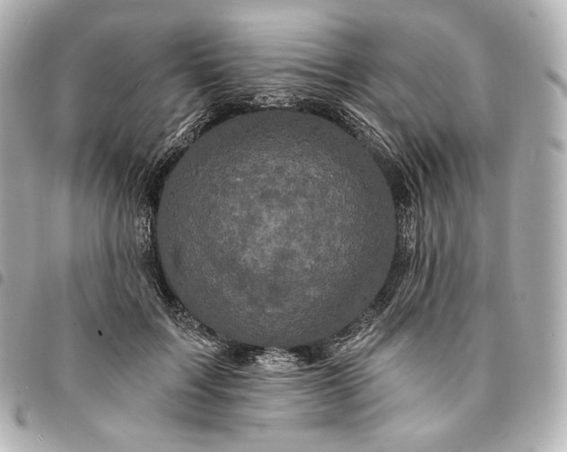 X0000095530603200712281523