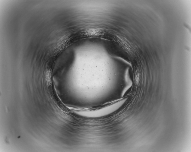 X0000095530605200712281523