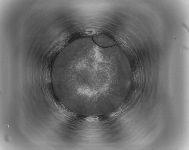 X0000095530606200712281523