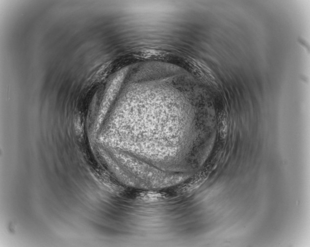 X0000095530607200712281523