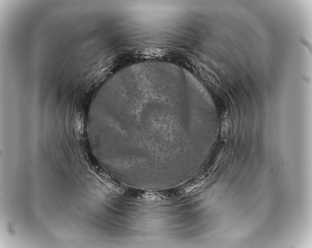 X0000095530608200712281523