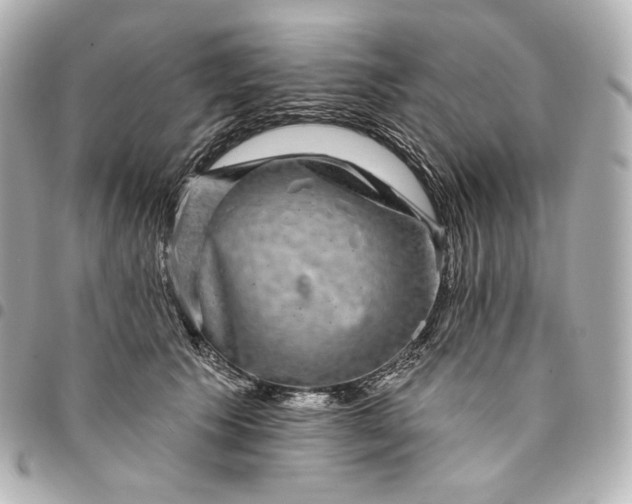 X0000095530609200712281523