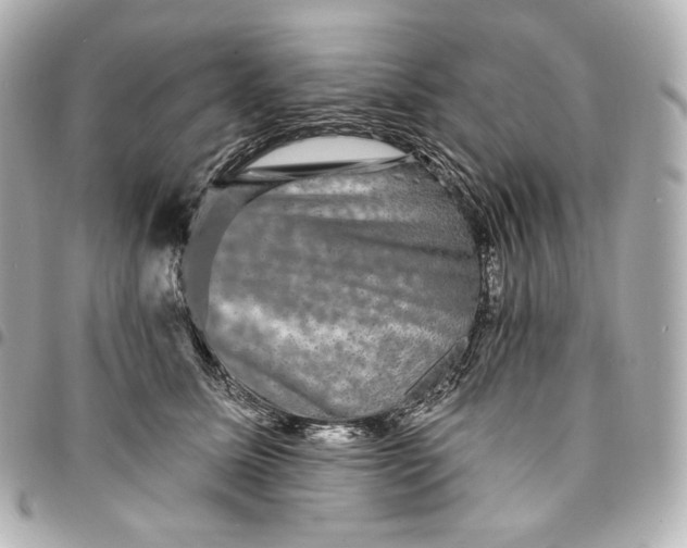 X0000095530611200712281523