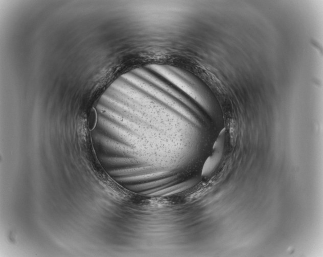 X0000095530612200712281523