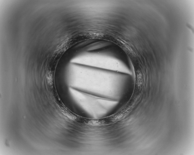X0000095530613200712281523