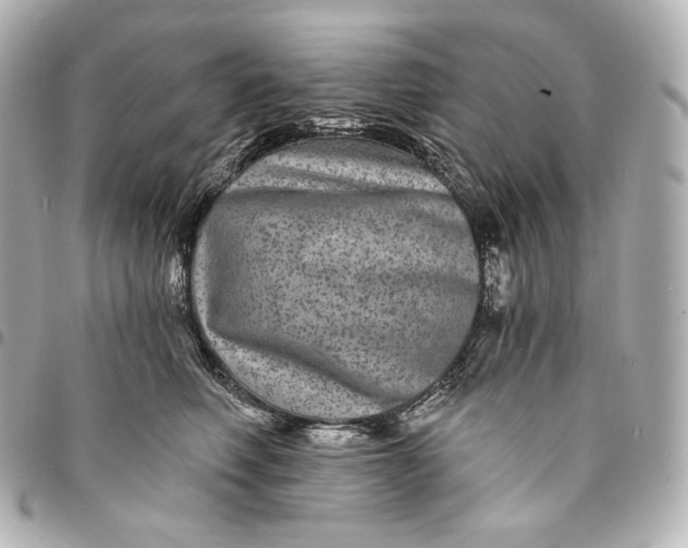 X0000095530614200712281523