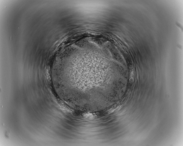 X0000095530616200712281523