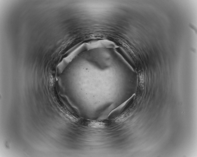 X0000095530617200712281523