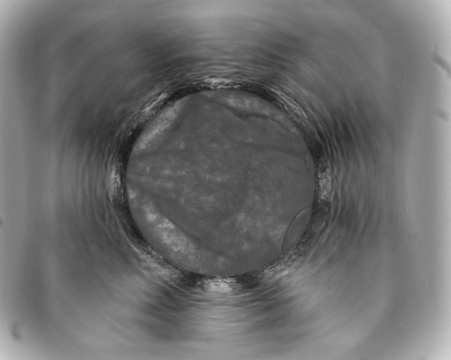 X0000095530618200712281523