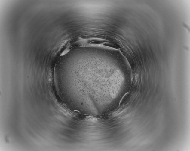 X0000095530620200712281523