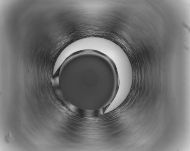 X0000095530621200712281523