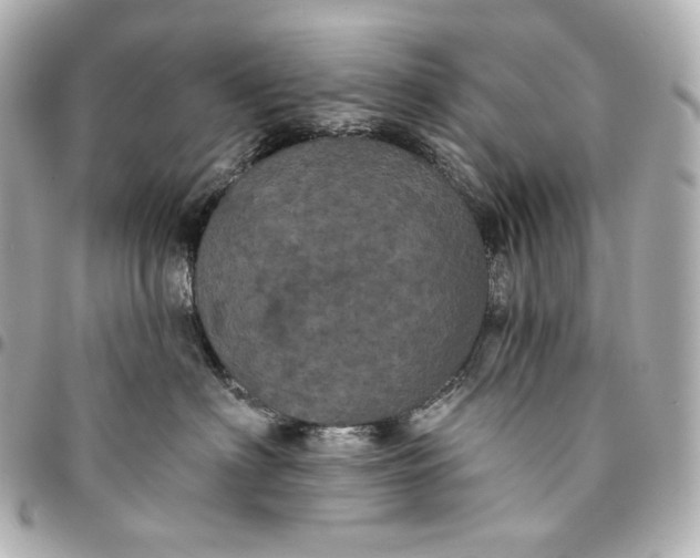 X0000095530622200712281523