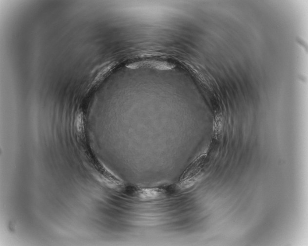 X0000095530623200712281523