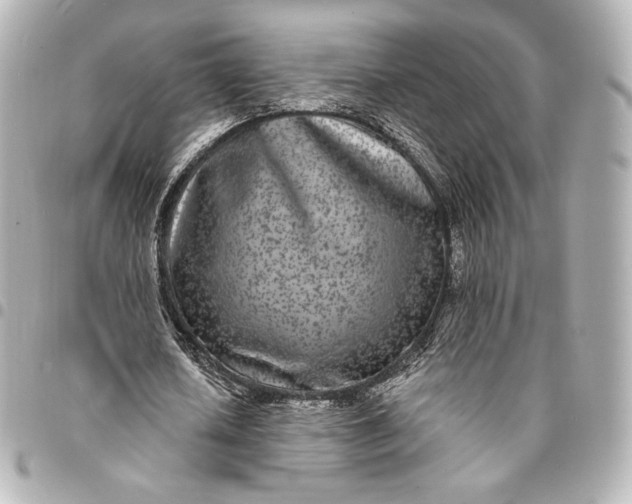 X0000095530626200712281522