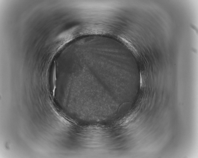 X0000095530627200712281522