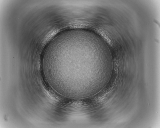 X0000095530631200712281523