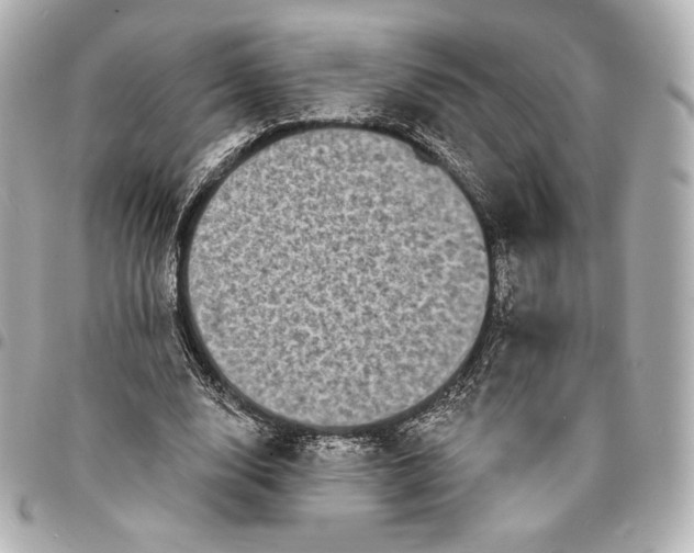 X0000095530632200712281523