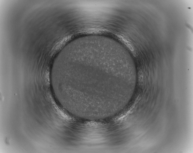 X0000095530633200712281523