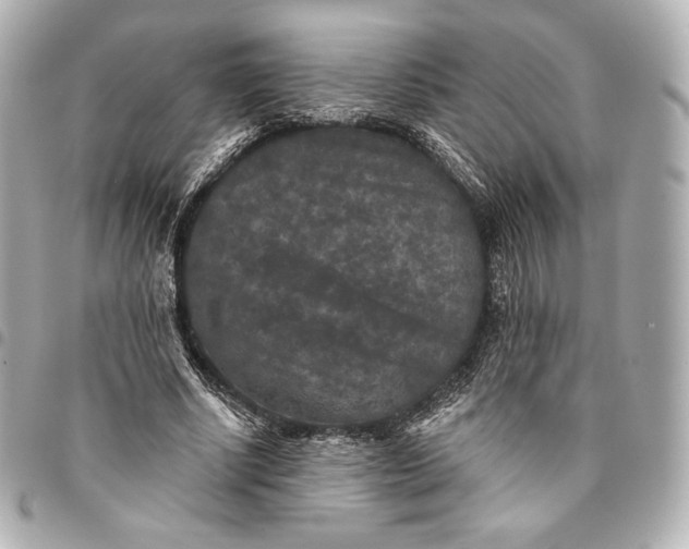 X0000095530634200712281523