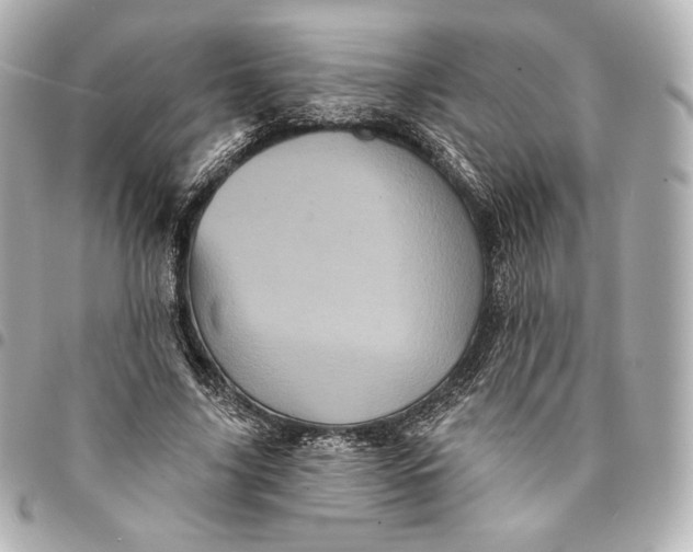 X0000095530635200712281523