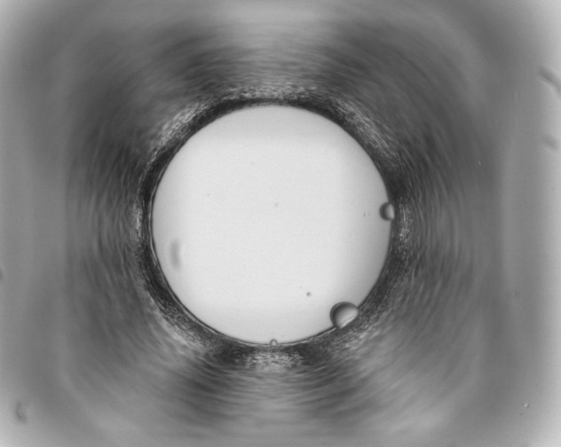 X0000095530636200712281523