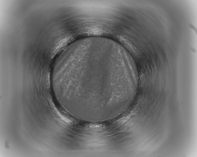 X0000095530638200712281523