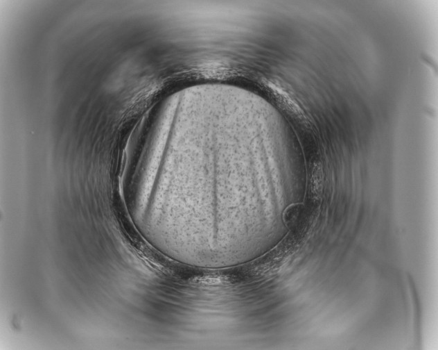 X0000095530639200712281523