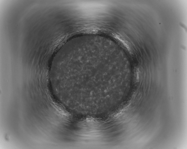X0000095530641200712281523